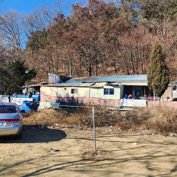 금산곰탕 대표 사진