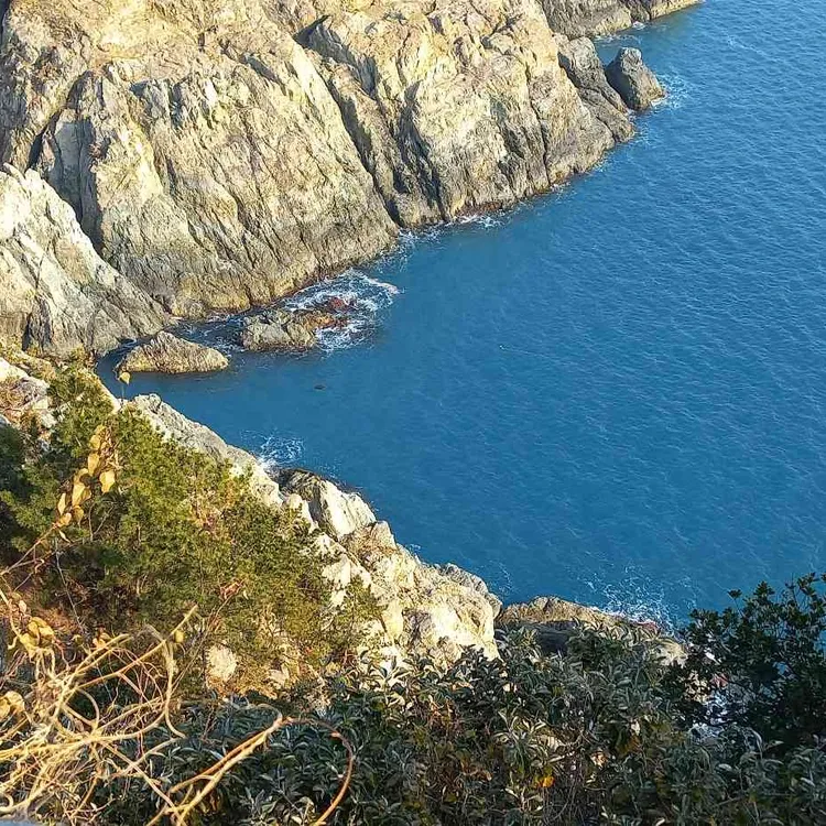 파노라마커피숍 대표 사진