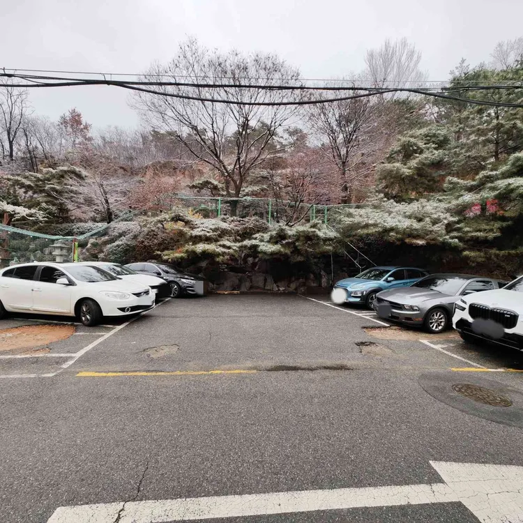 고양이정원 대표 사진