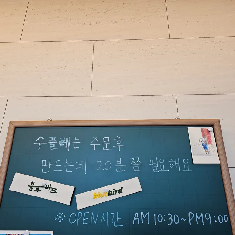 블루버드 대표 사진