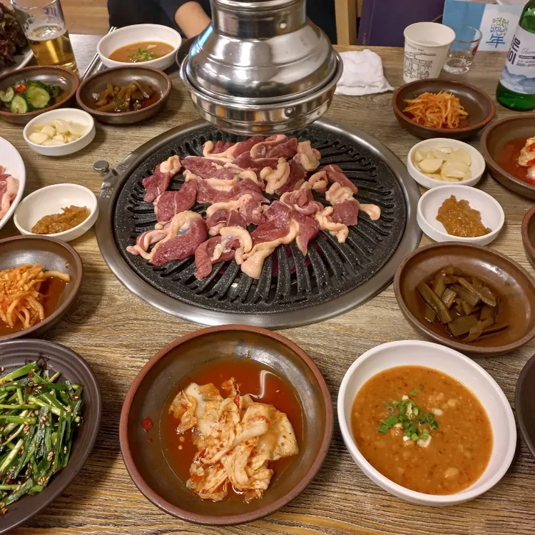낙동생오리 대표 사진