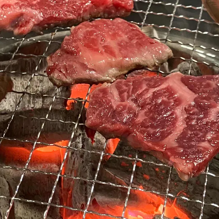 꽃보다소 대표 사진