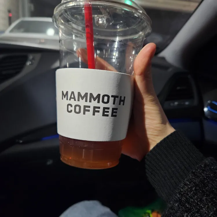 매머드익스프레스 대표 사진