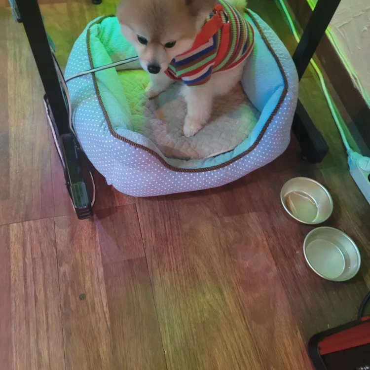 먹태의꿈 대표 사진