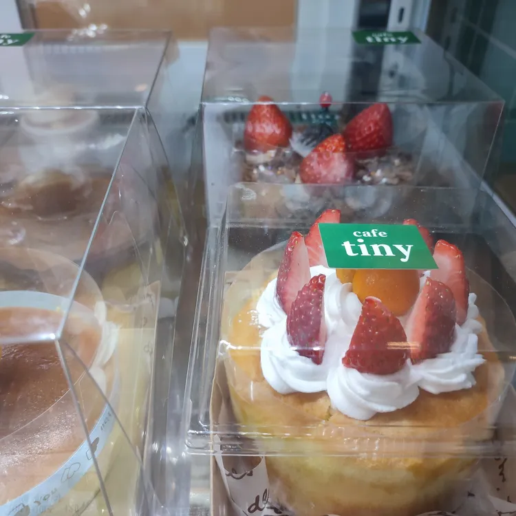 타이니 대표 사진