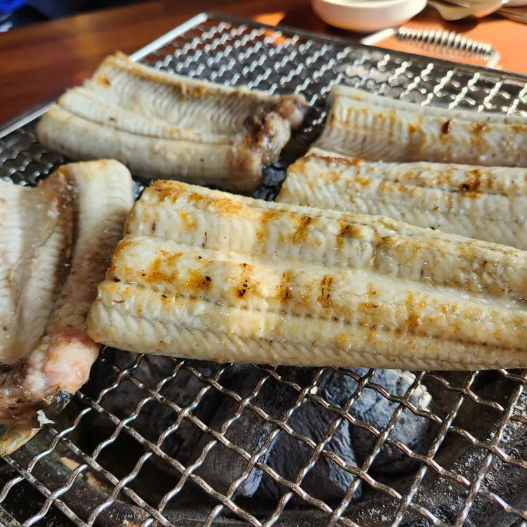 폭풍장어 대표 사진