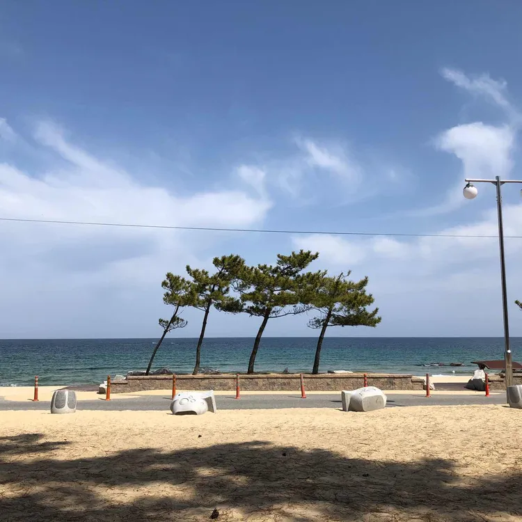 게네집 대표 사진