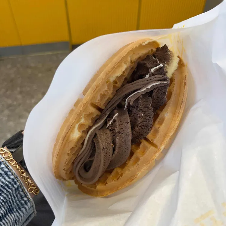 와플대학 대표 사진