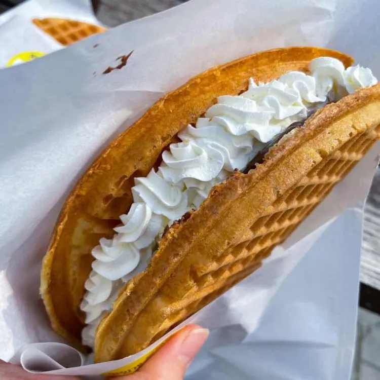 이로플 대표 사진