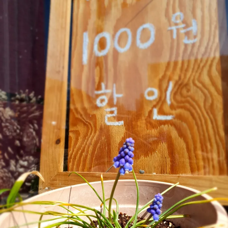 고산별이아름답다 대표 사진