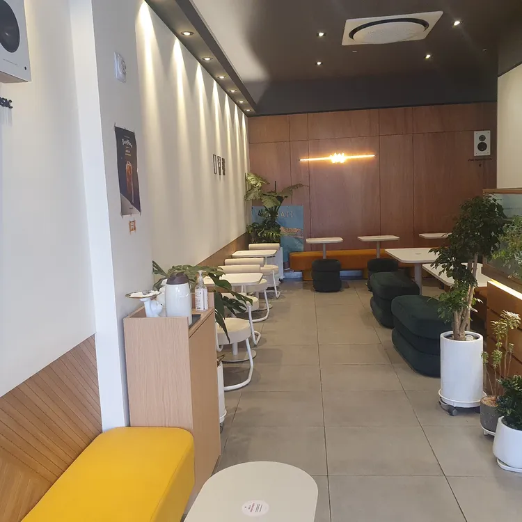 댄싱컵 대표 사진