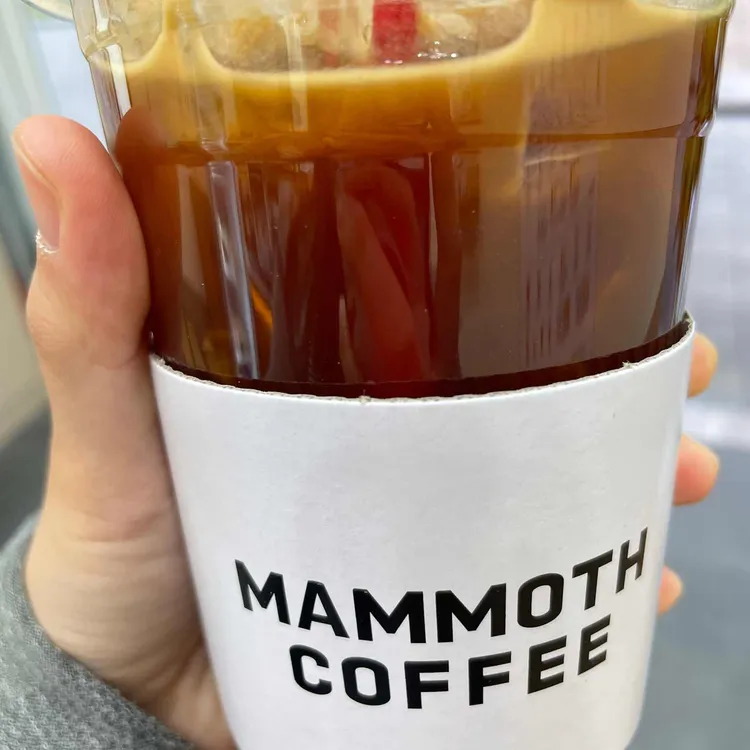매머드익스프레스 대표 사진