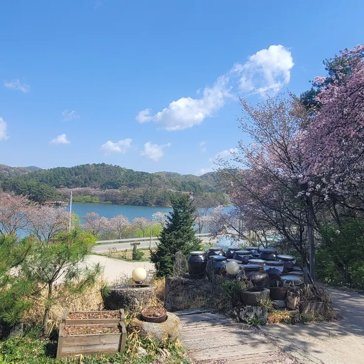 구름나그네 대표 사진