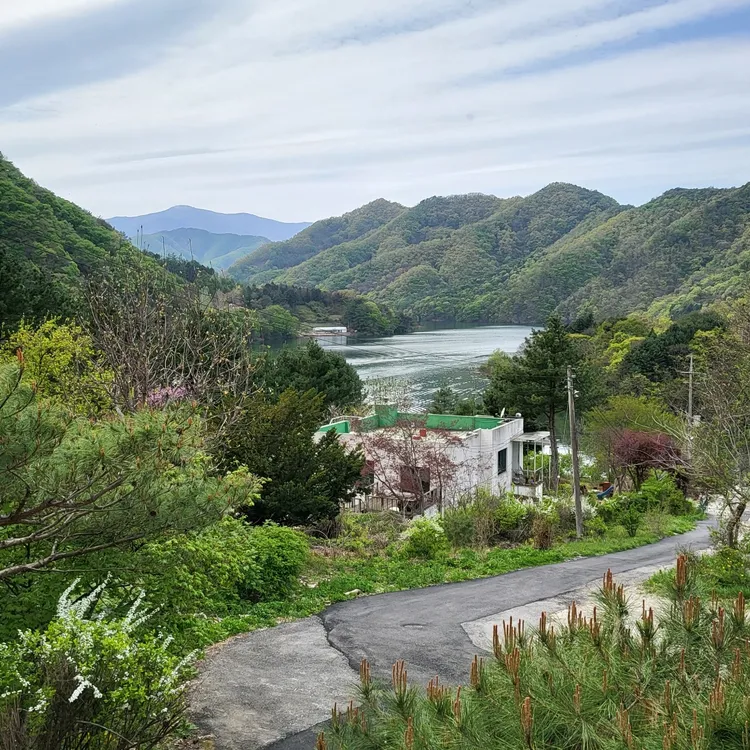 춘천호인삼메기매운탕 대표 사진
