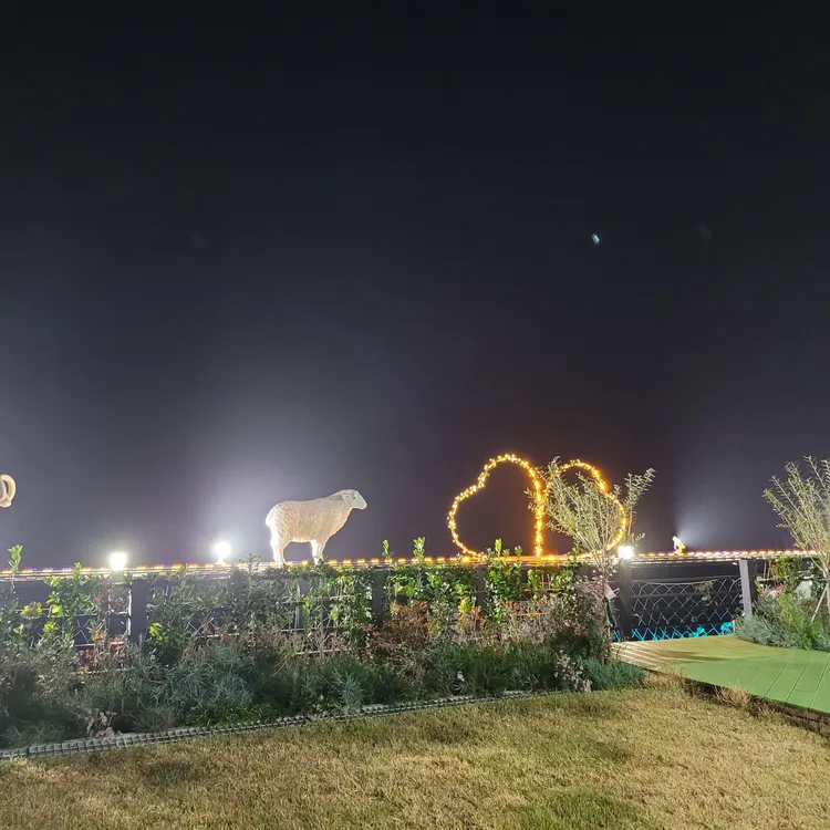 원더풀라이프 대표 사진