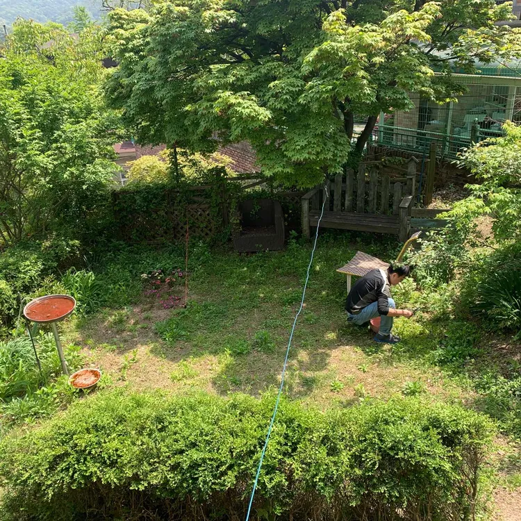 대패상회 대표 사진