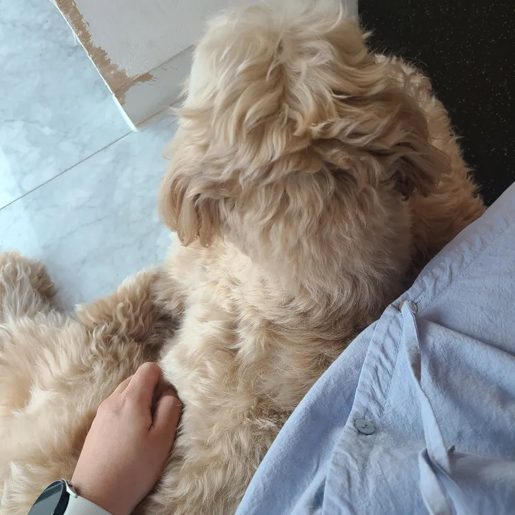 커멍커멍 대표 사진