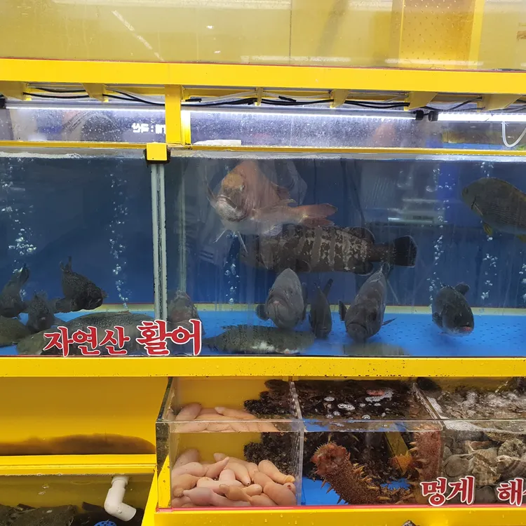 금성횟집 대표 사진
