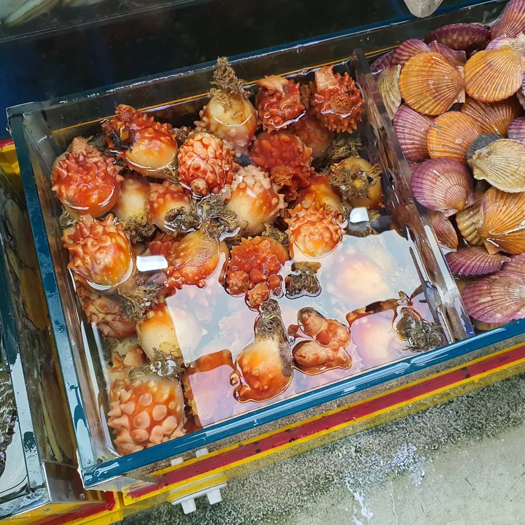 금성횟집 대표 사진