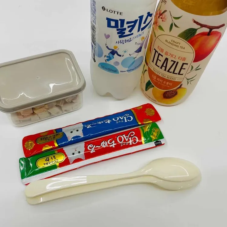 캣카페 집사의하루 대표 사진