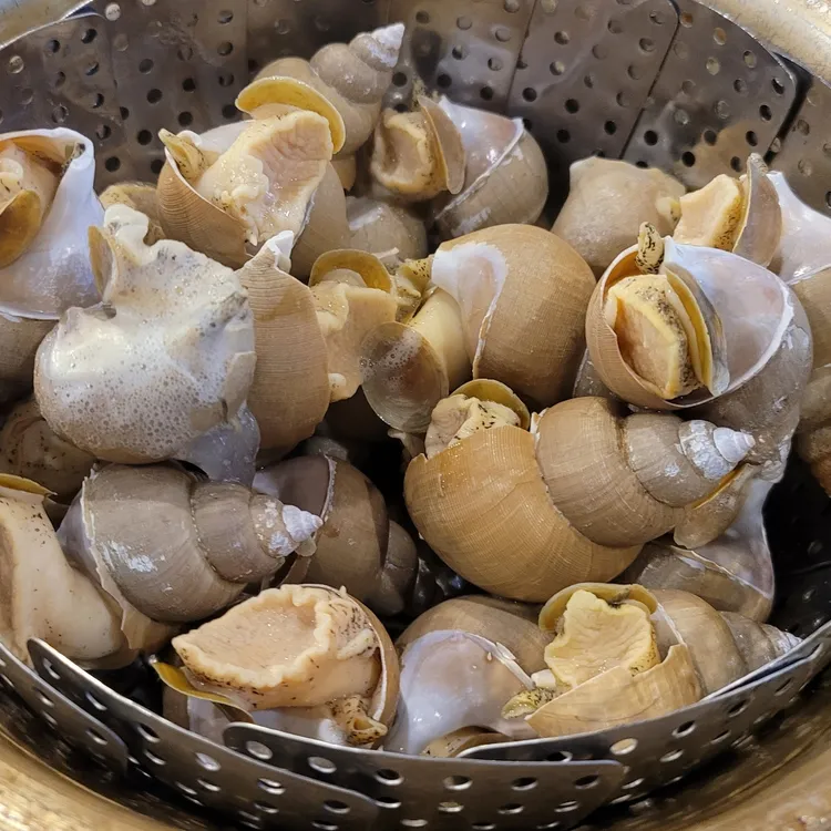 삼척포구  대표 사진