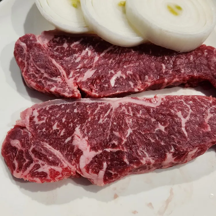 참고기 대표 사진