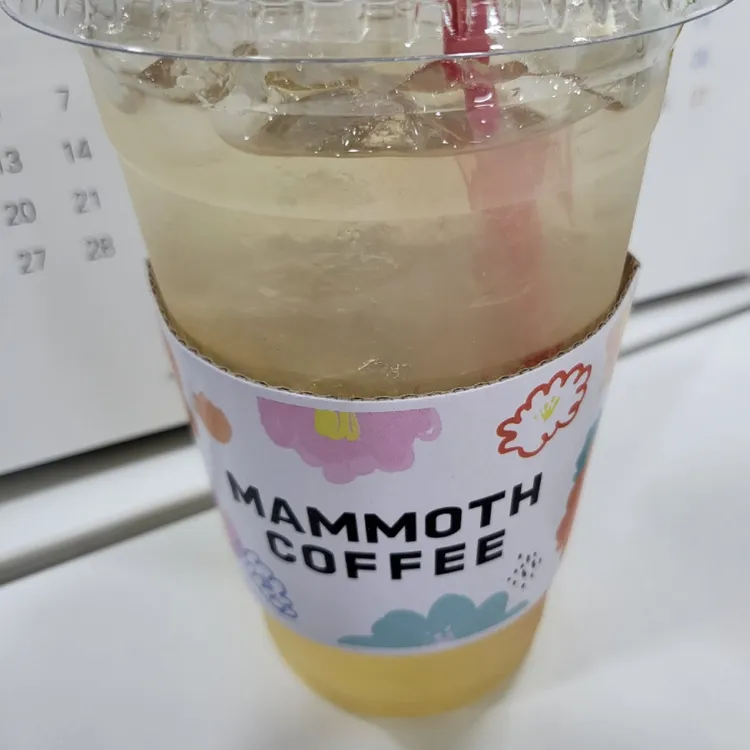 매머드익스프레스 대표 사진