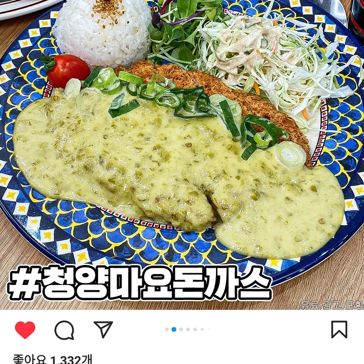 국수나무 대표 사진