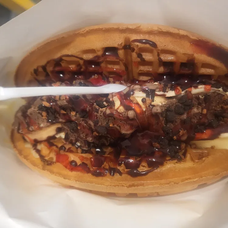 와플대학 대표 사진