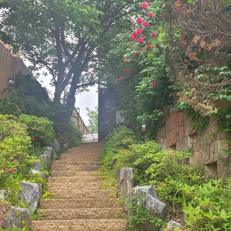 엘파인 대표 사진
