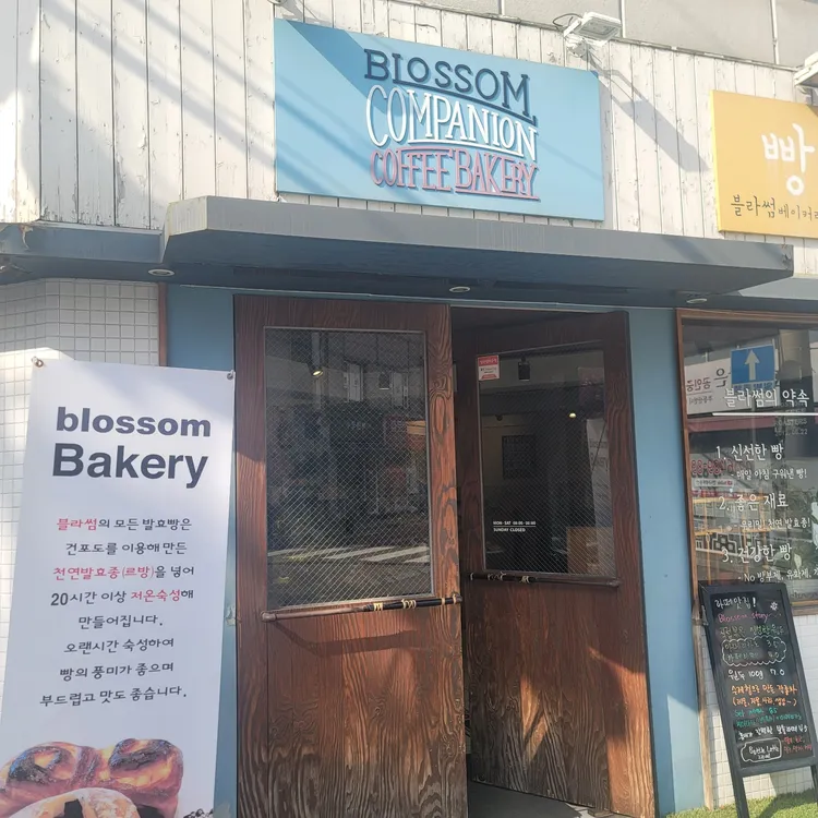 블라썸컴패니언 대표 사진