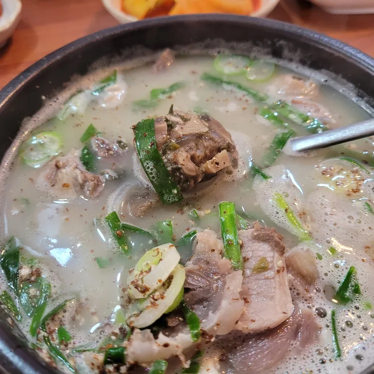제주대통 대표 사진