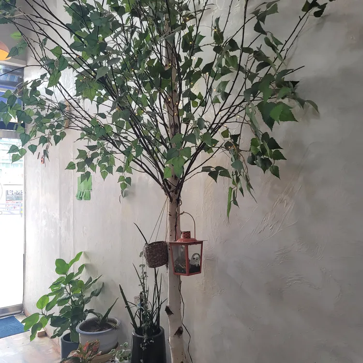 커피샵 대표 사진
