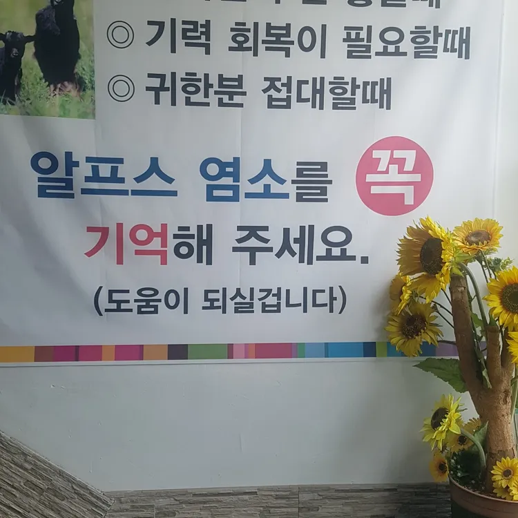 알프스염소 대표 사진