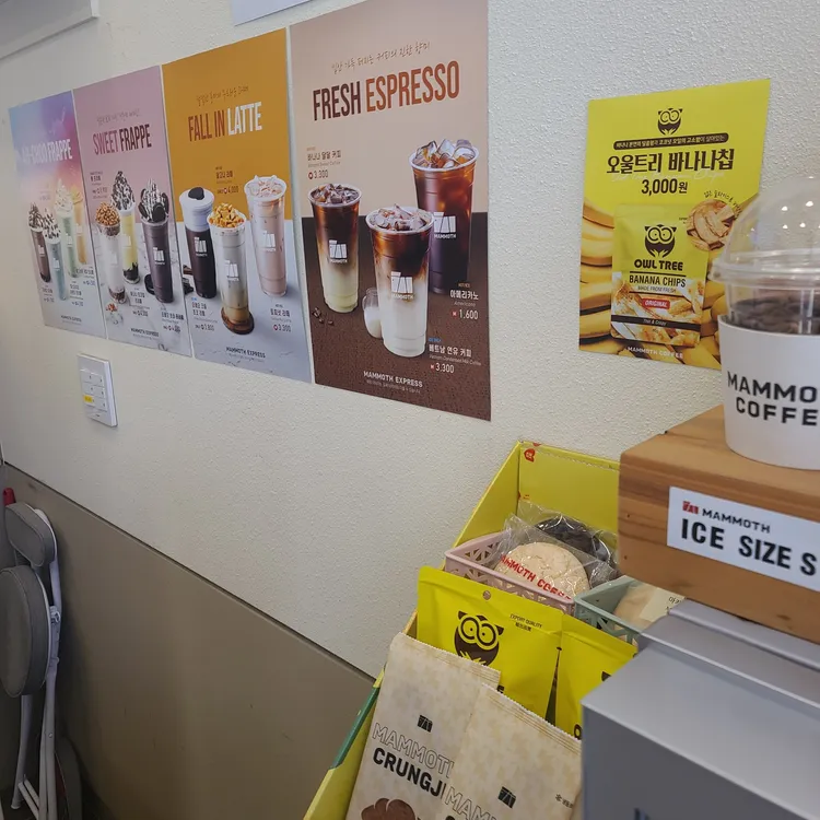 매머드익스프레스 대표 사진