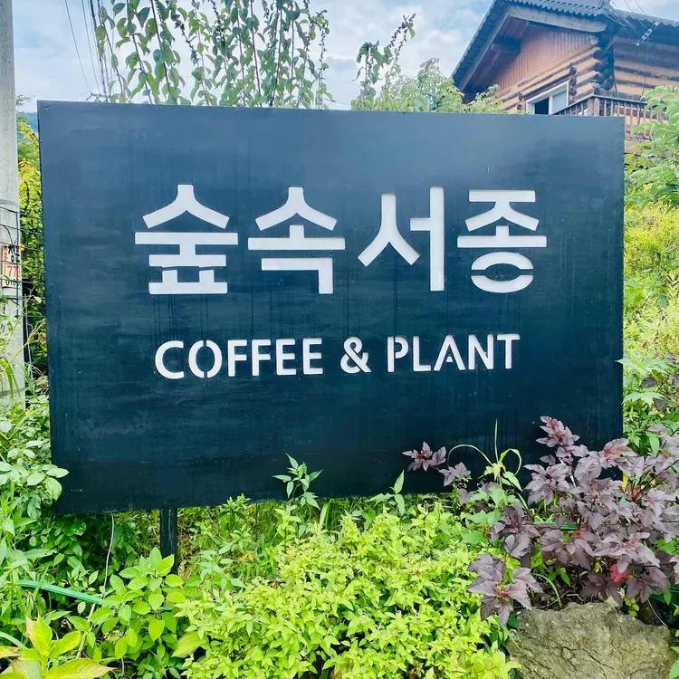 숲속서종 사진 2