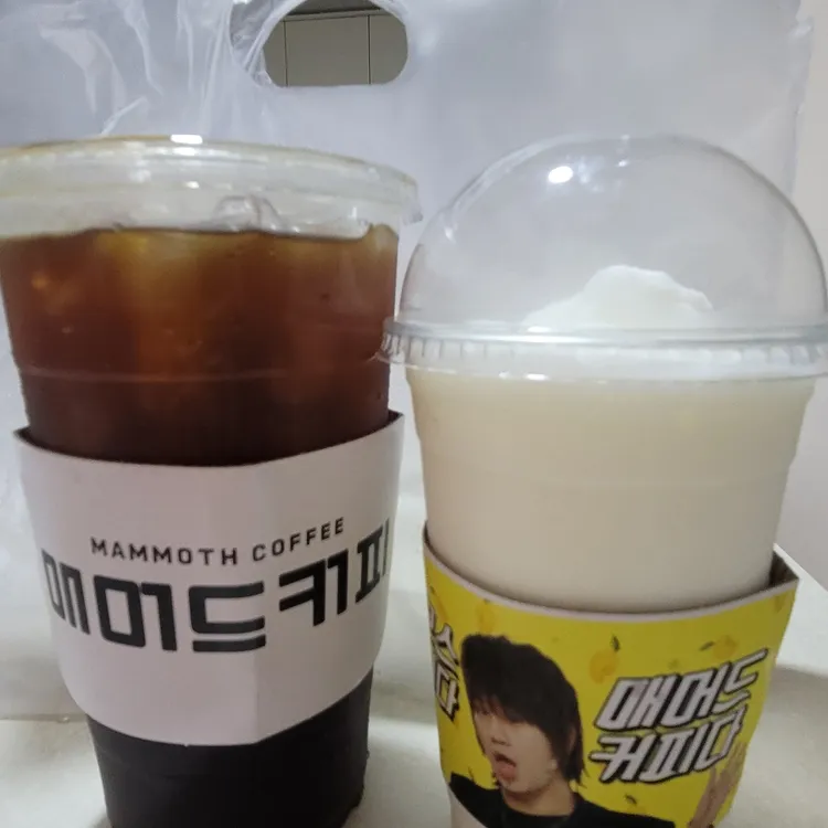 매머드익스프레스 대표 사진