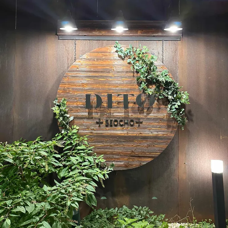 디토 대표 사진