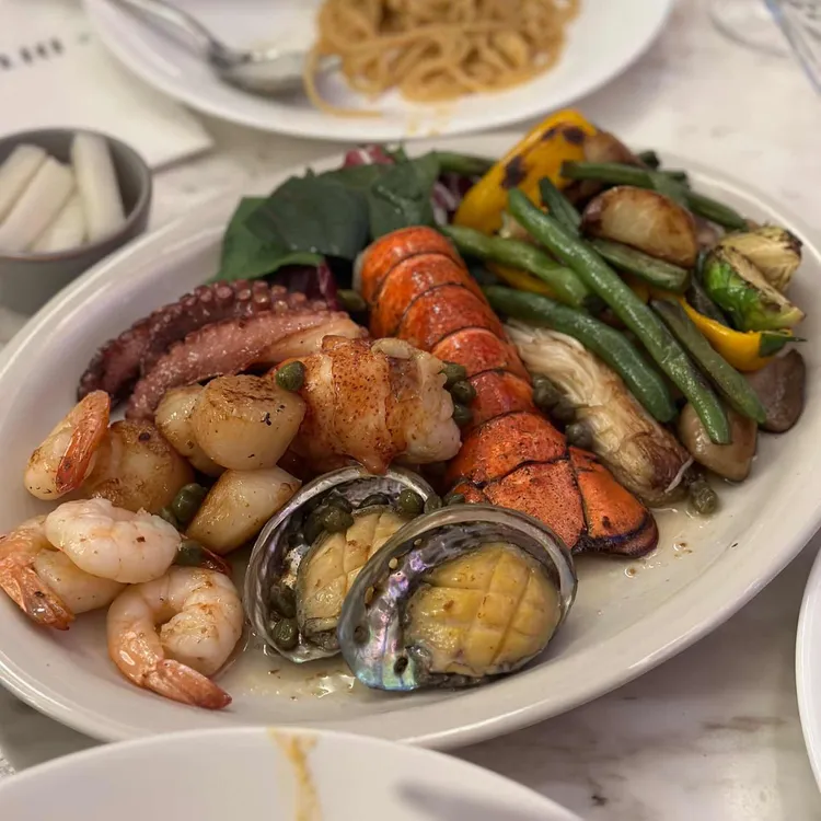 디토 대표 사진