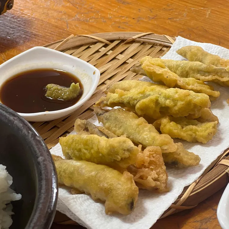 홍질목 대표 사진