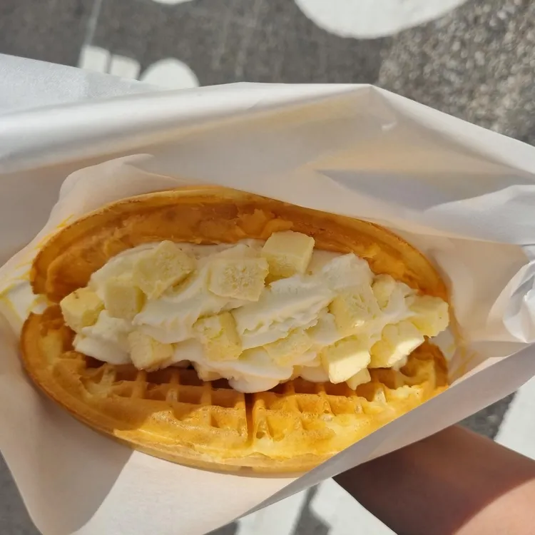 와플대 대표 사진