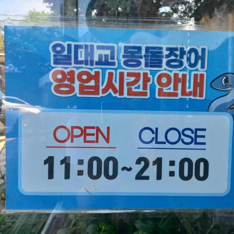 일대교몽돌장어 대표 사진