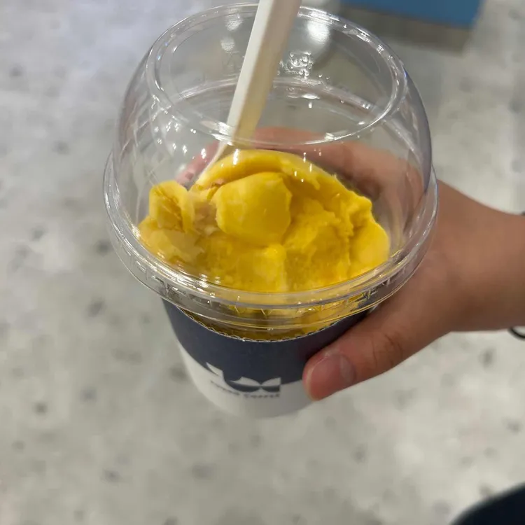 영커피 대표 사진