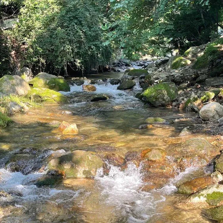 산장가든 대표 사진
