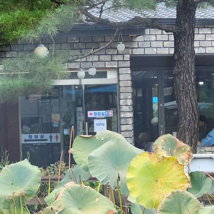들풀 대표 사진