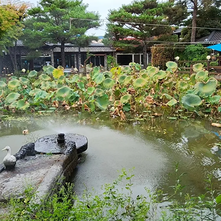 들풀 대표 사진