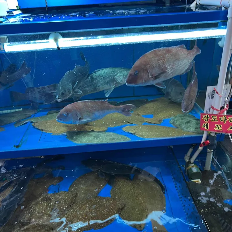 군산상회 대표 사진