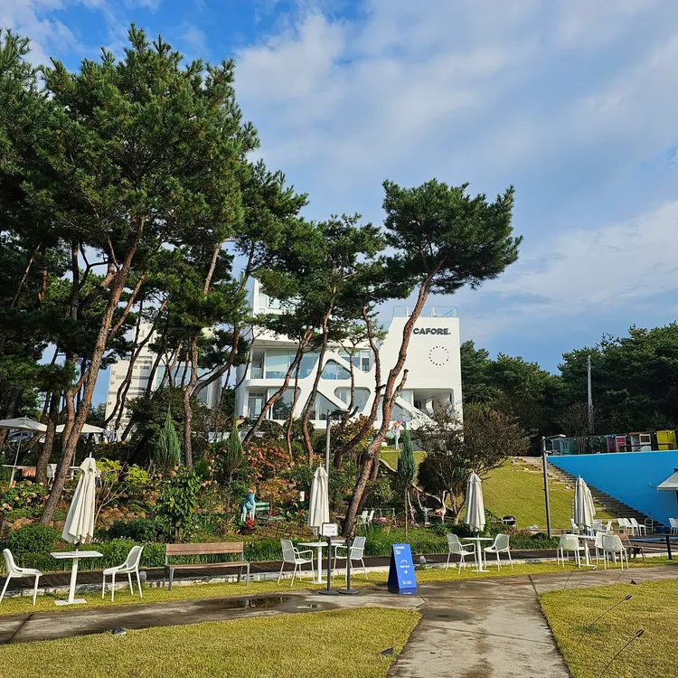 카포레 대표 사진