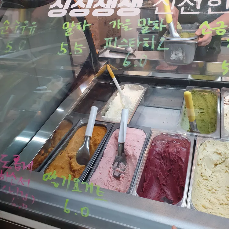 플랑크톤 대표 사진