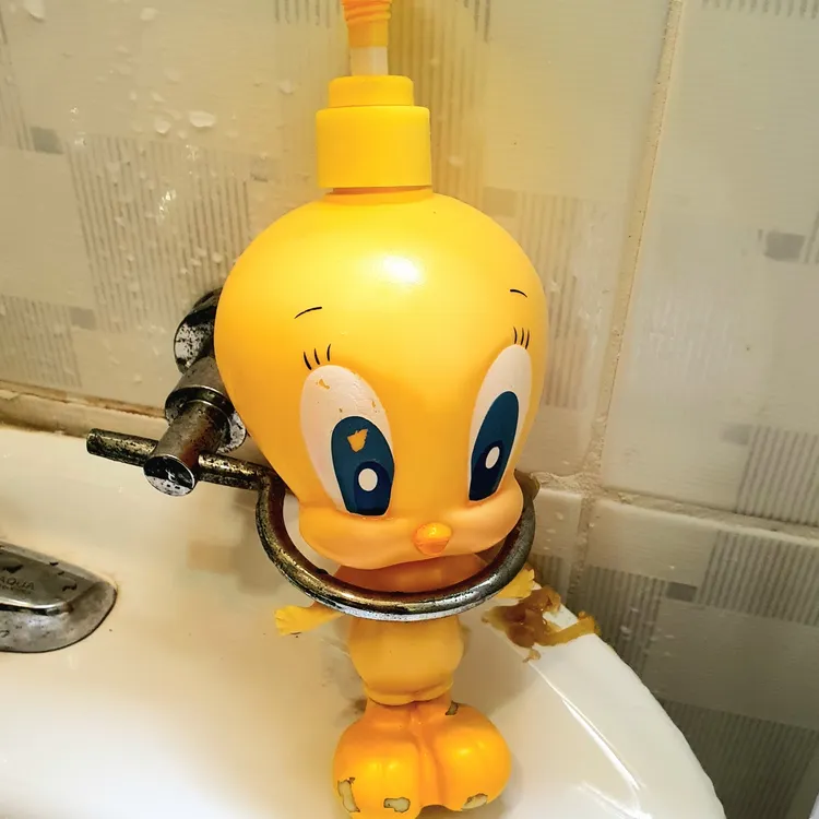 제리집 대표 사진